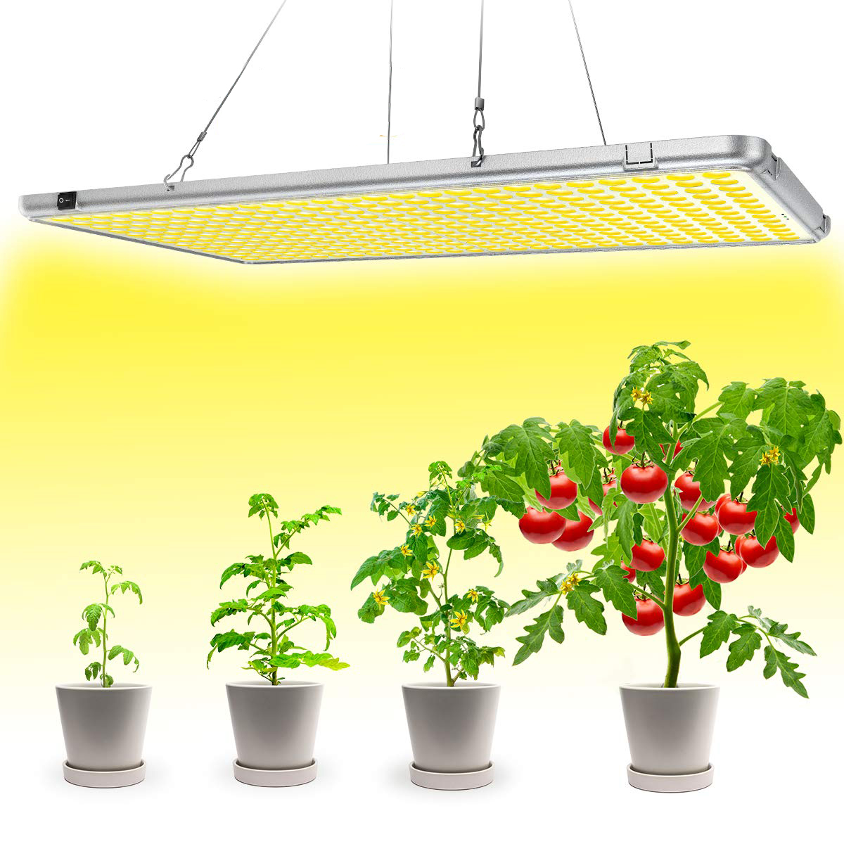 Lampy a světla pro rostliny